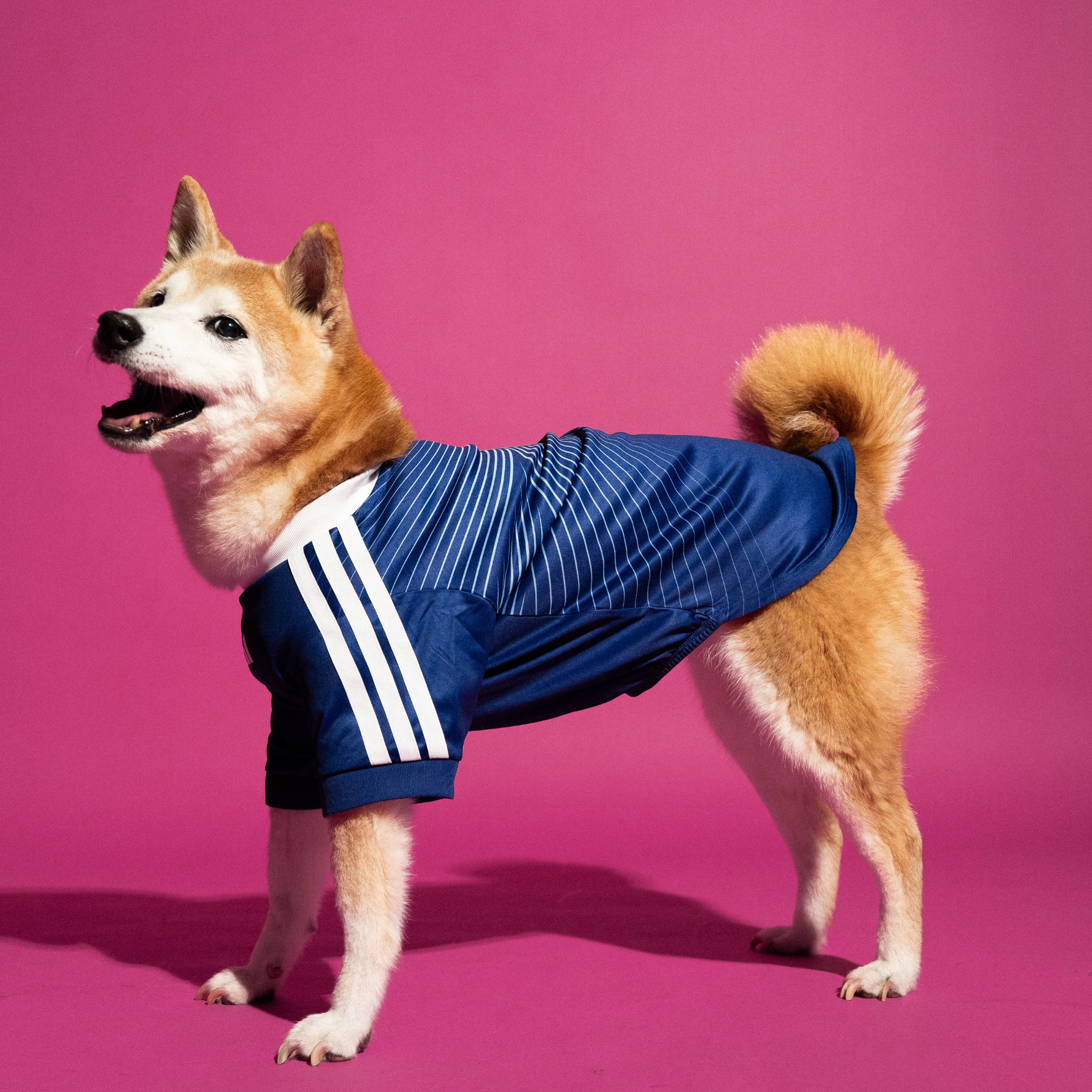 adidas Pet Jersey Japan
