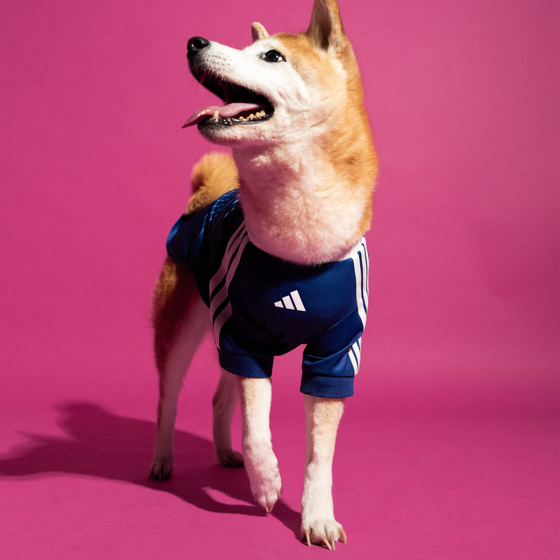 adidas Pet Jersey Japan