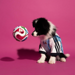 adidas Pet Jersey Argentina