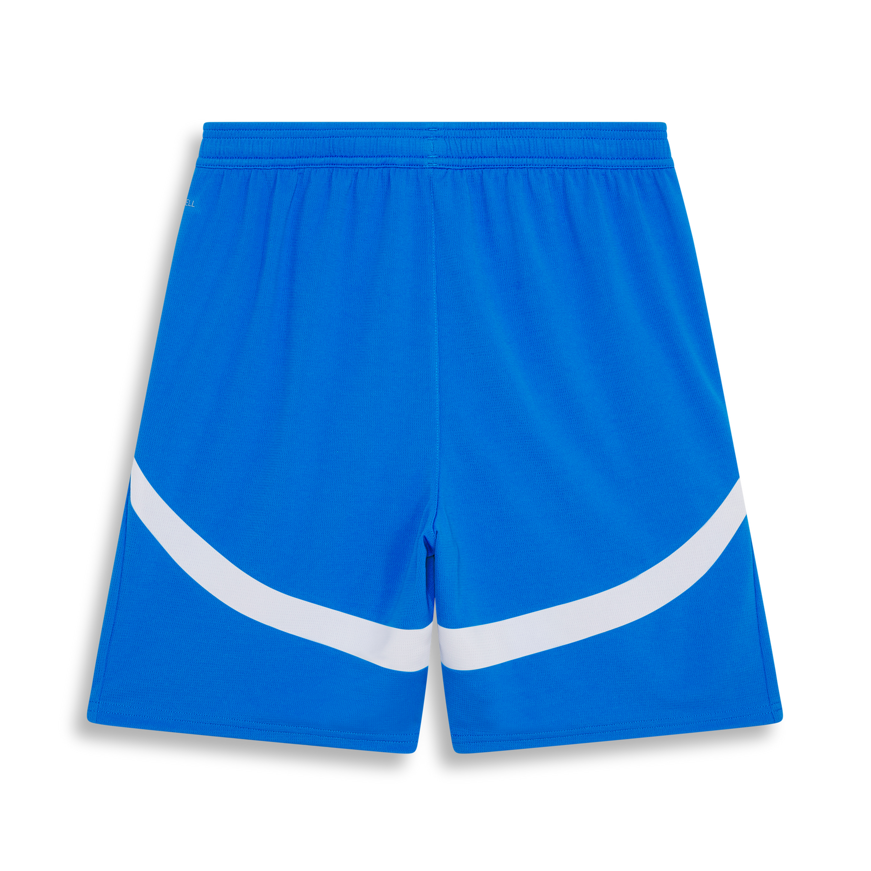 PUMA PFF 2026 HOME SHORTS MEN