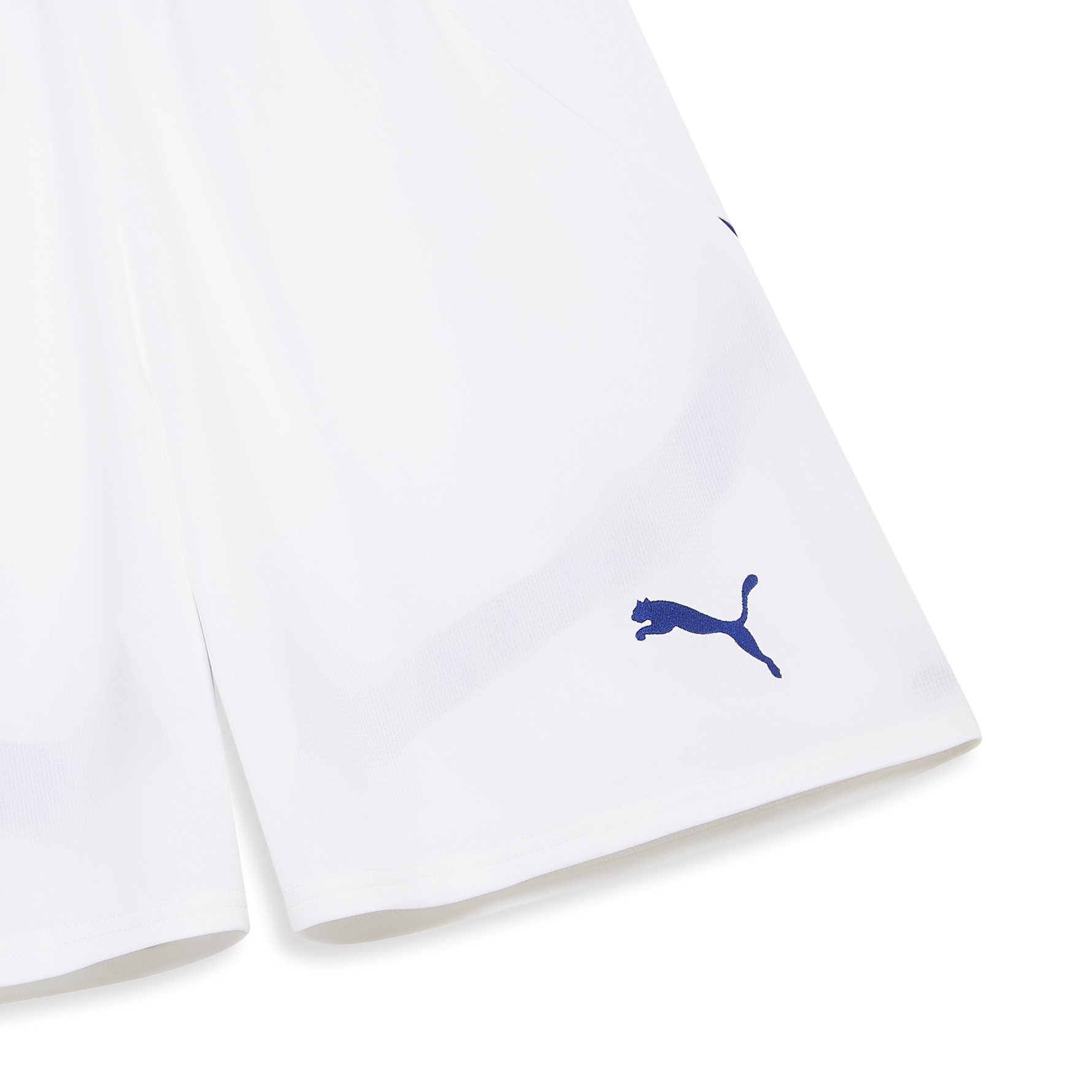 PUMA PFF 2026 HOME SHORTS MEN