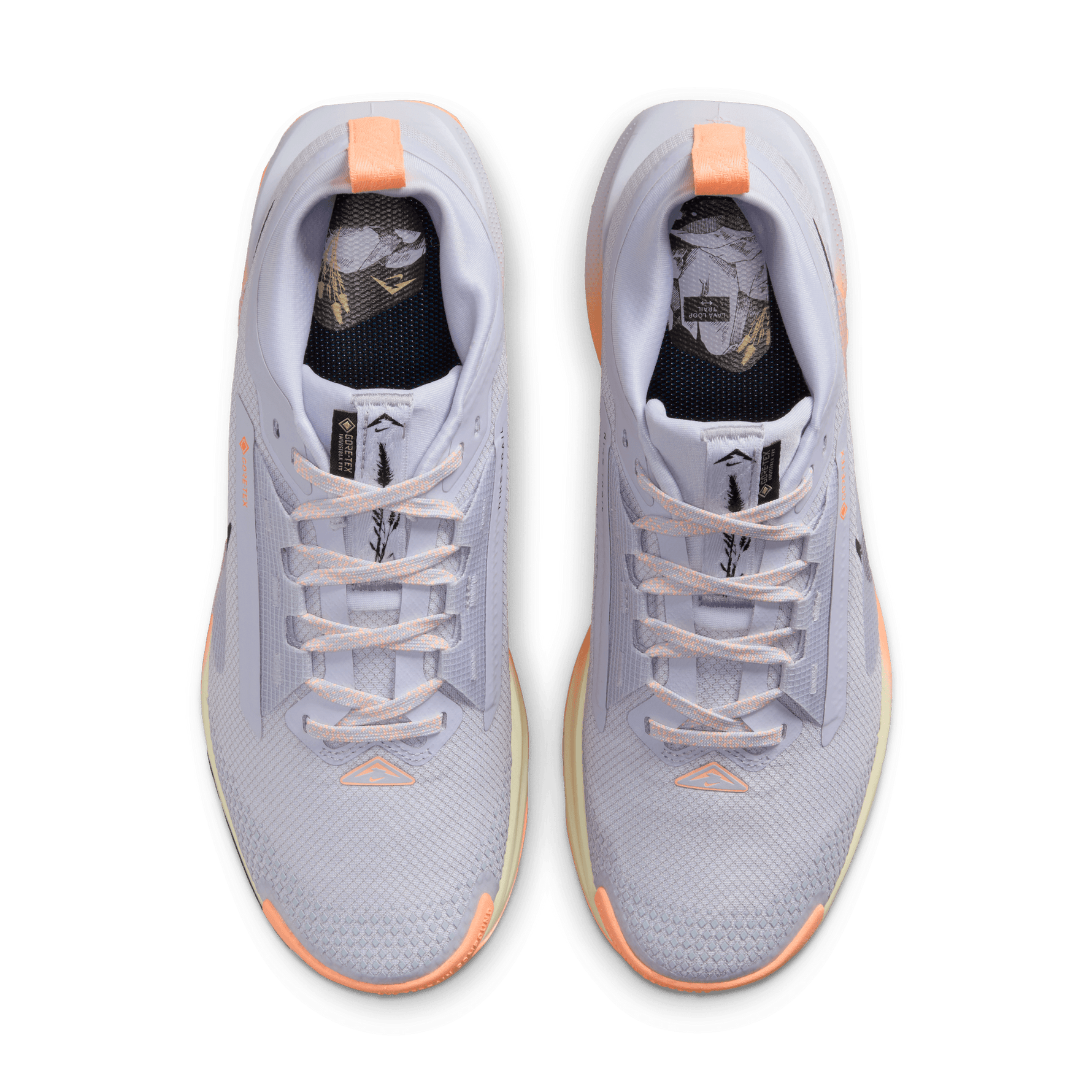 NIKE PEGASUS TRAIL 5 GORE-TEX WOMEN'S WATERPROOF TRAIL RUNNING SHOES