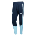 ADIDAS ARGENTINA 26 TIRO TRAINING PANTS