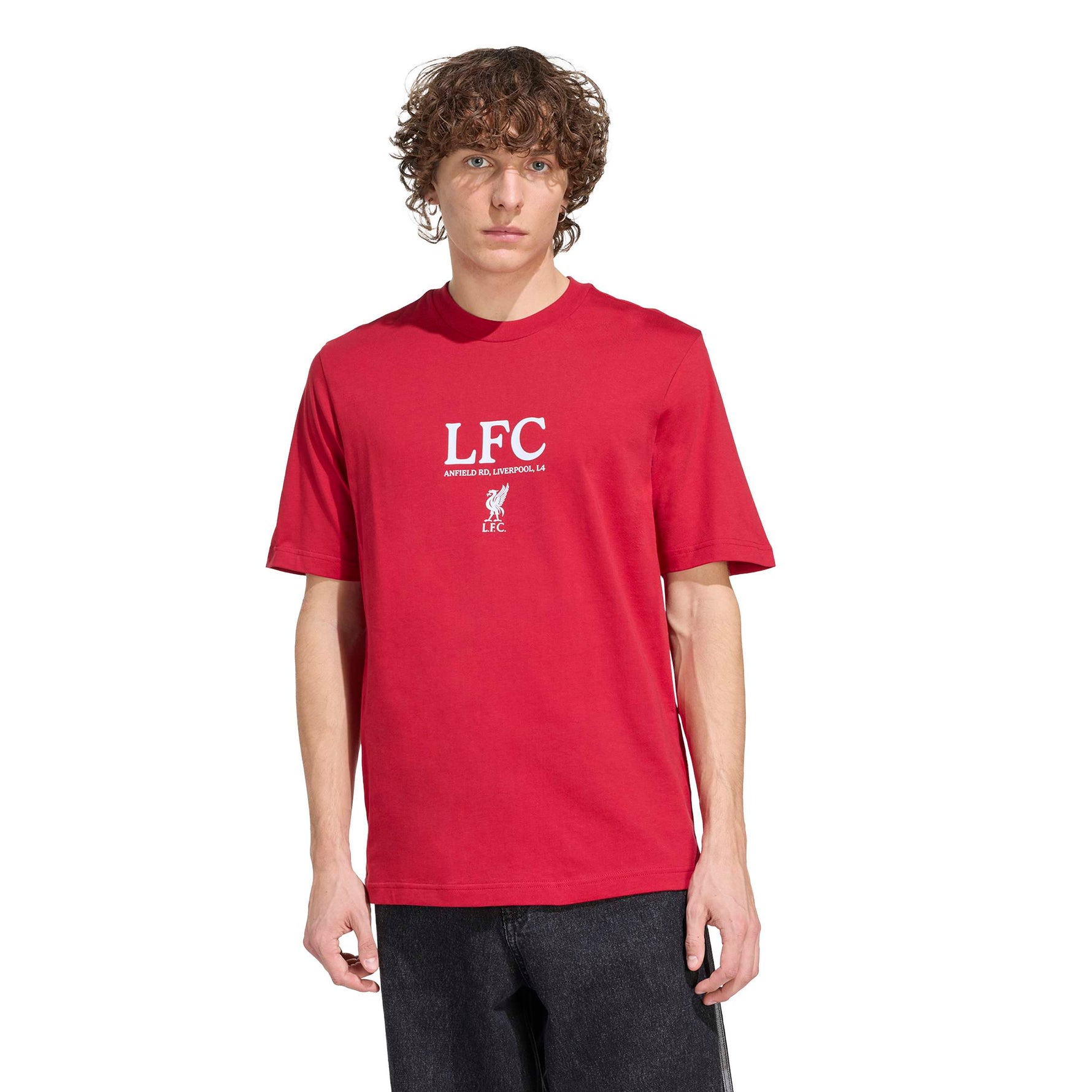 LIVERPOOL FC SEASONAL GRAPHIC T-SHIRT