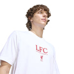 ADIDAS LIVERPOOL FC SEASONAL GRAPHIC T-SHIRT