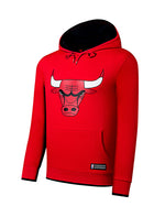 NBA BASICS PRIMARY LOGO HOODIE