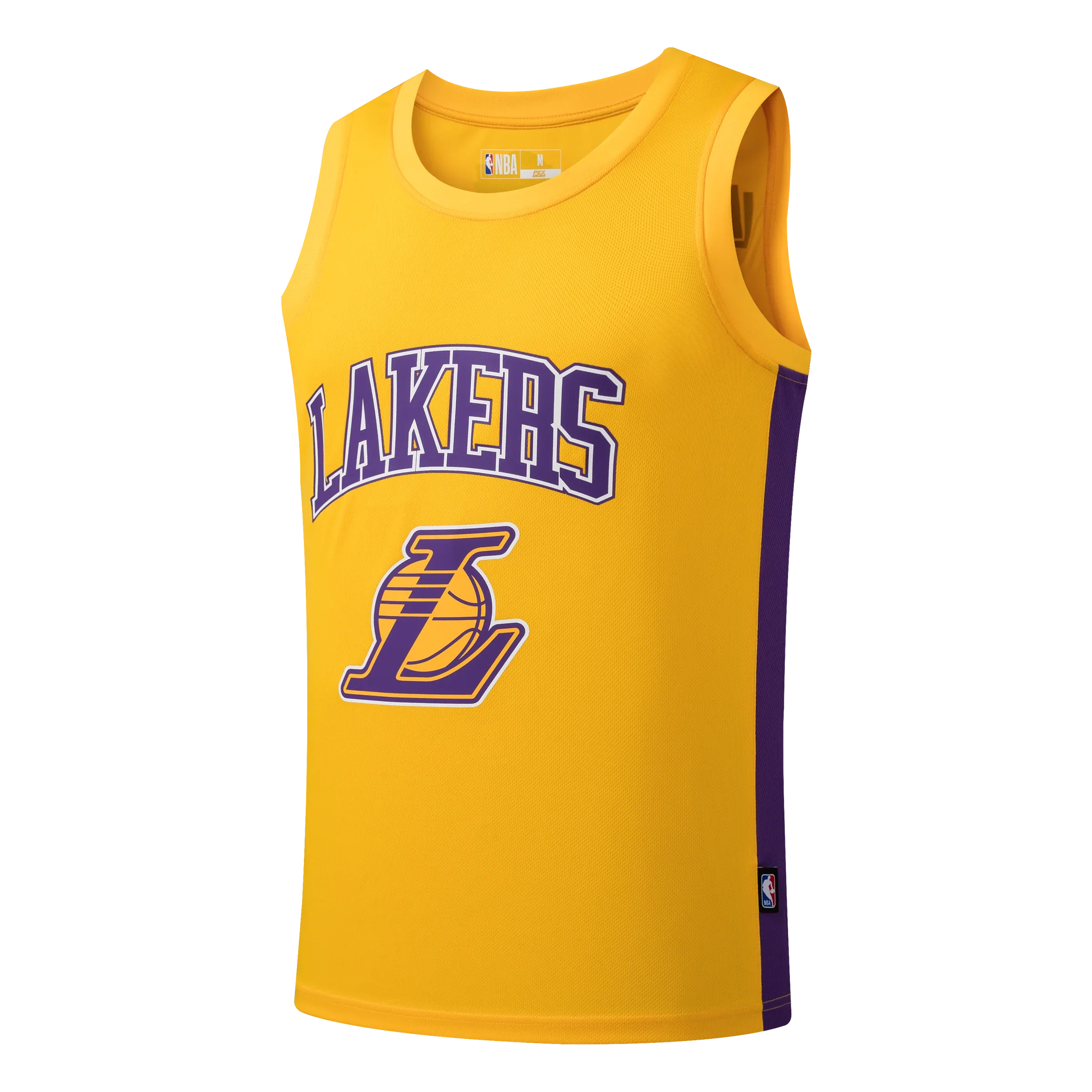 NBA BASICS JERSEY LEBRON JAMES