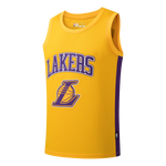 NBA BASICS JERSEY LEBRON JAMES