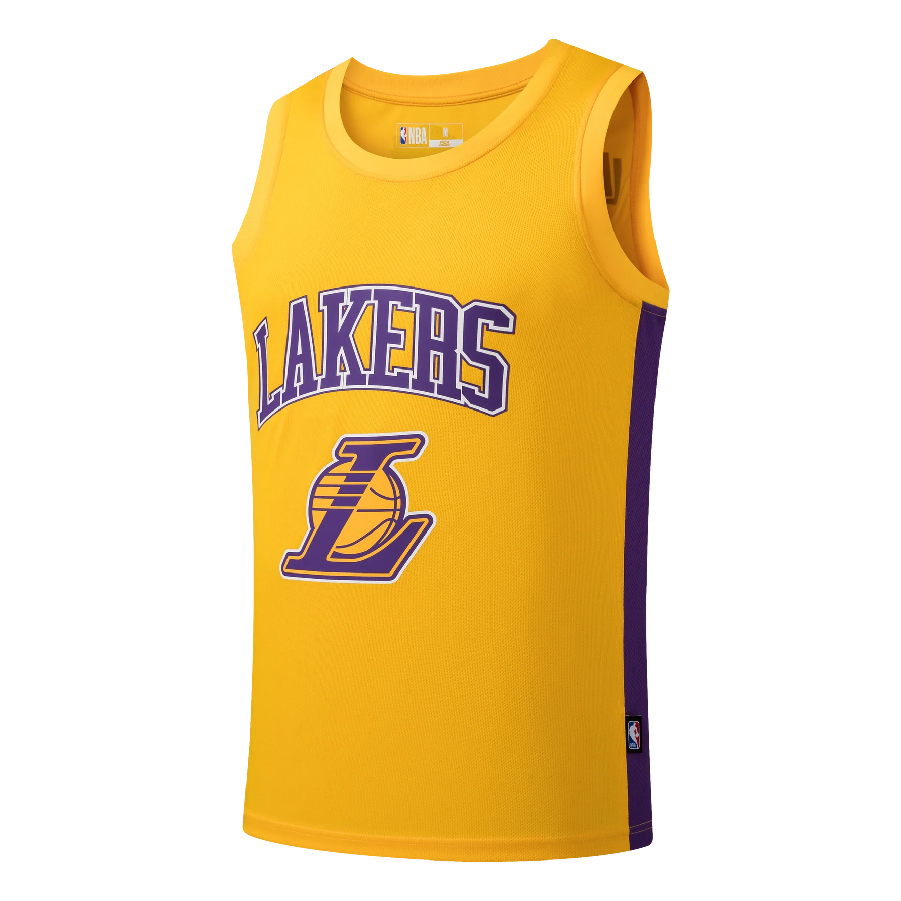 NBA BASICS JERSEY LEBRON JAMES