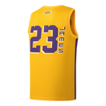 NBA BASICS JERSEY LEBRON JAMES