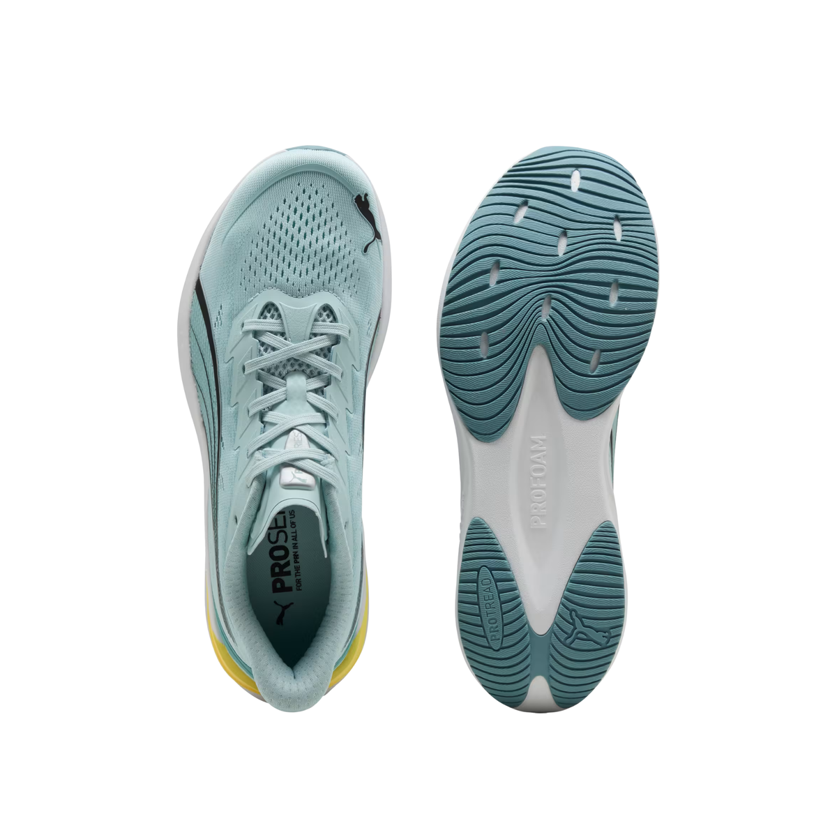 DARTER PRO 2 BALTIC SEA BLUE-F