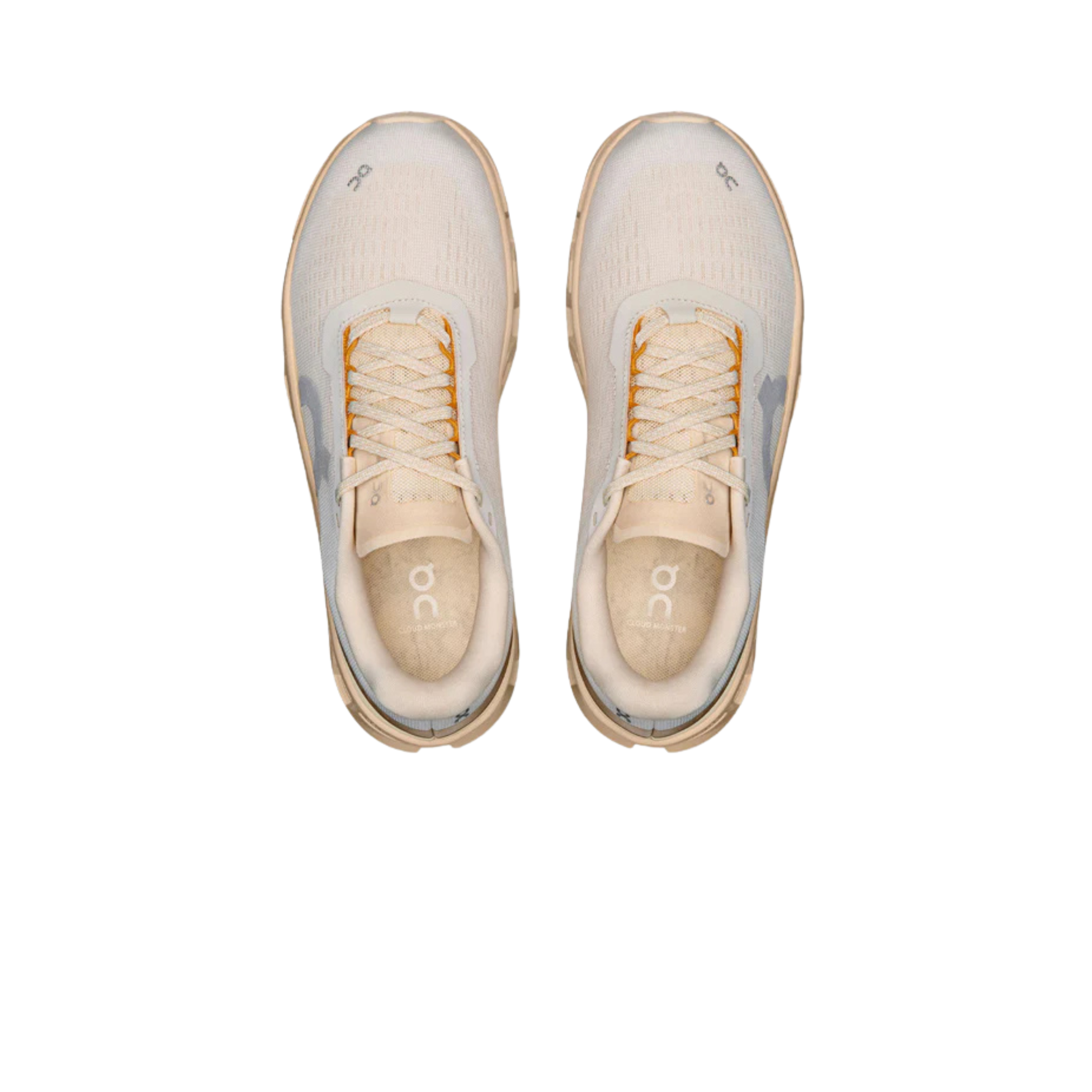 ON CLOUDMONSTER 1 WOMEN'S