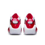 NIKE AIR ZOOM FLIGHT 95