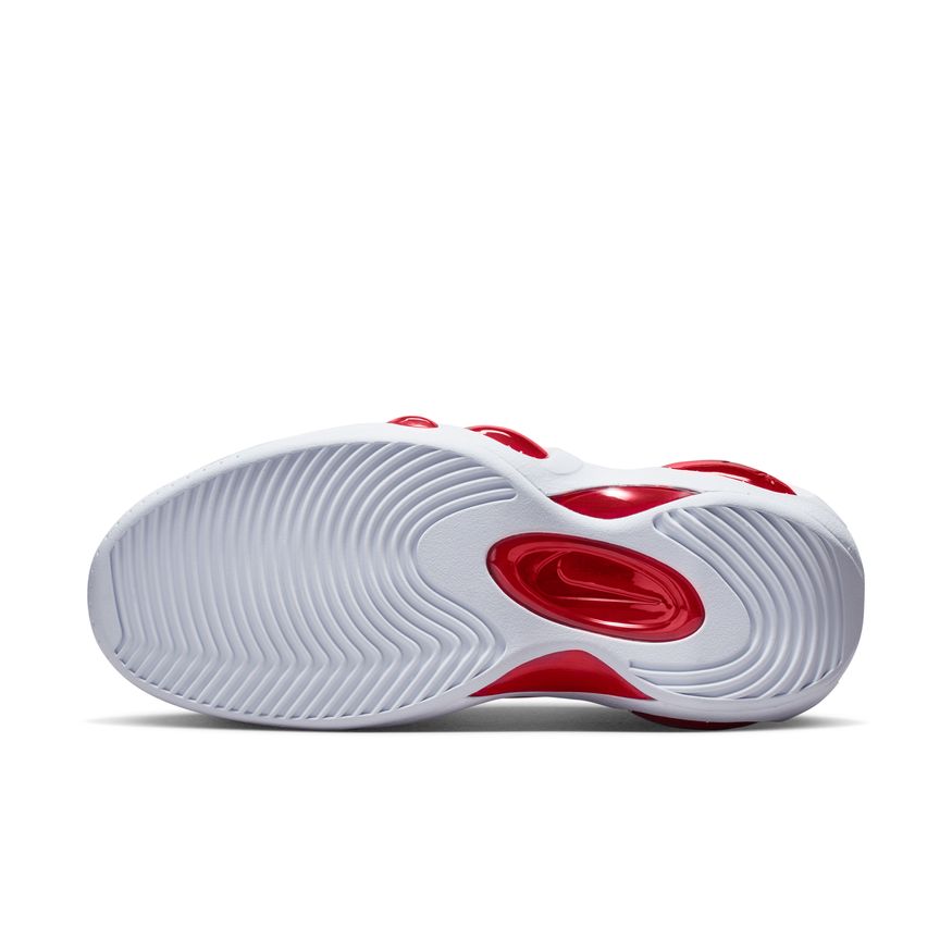 NIKE AIR ZOOM FLIGHT 95